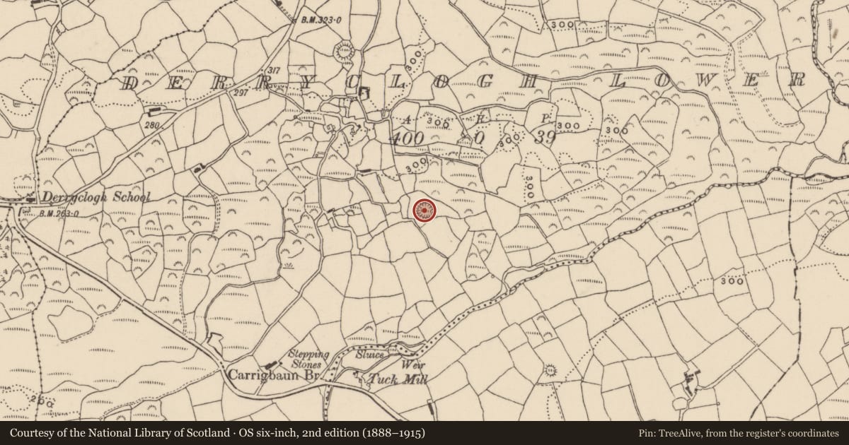 Ordnance Survey six-inch map, 2nd edition (1888–1915) covering the location of Ringfort - rath, Derryclogh Lower, County Cork, with a pin at the register's coordinates