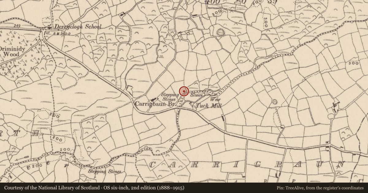 Ordnance Survey six-inch map, 2nd edition (1888–1915) covering the location of Burial ground, Derryclogh Lower, County Cork, with a pin at the register's coordinates