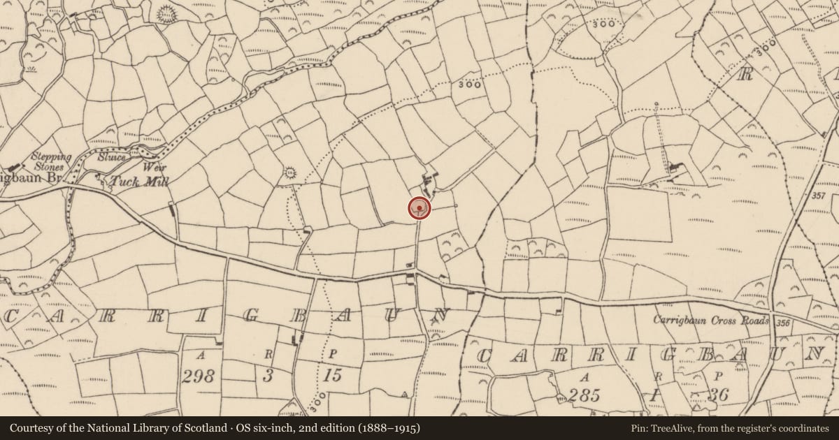 Ordnance Survey six-inch map, 2nd edition (1888–1915) covering the location of Ringfort - rath, Carrigbaun, County Cork, with a pin at the register's coordinates