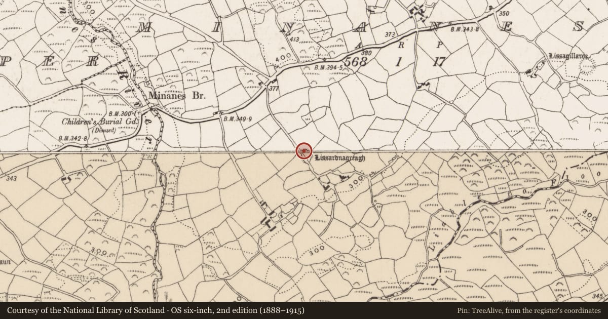 Ordnance Survey six-inch map, 2nd edition (1888–1915) covering the location of Ringfort - rath, Minanes, County Cork, with a pin at the register's coordinates