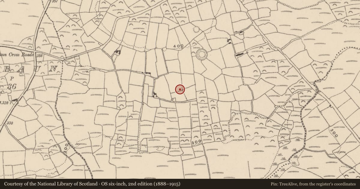 Ordnance Survey six-inch map, 2nd edition (1888–1915) covering the location of Souterrain, Reavouler, County Cork, with a pin at the register's coordinates