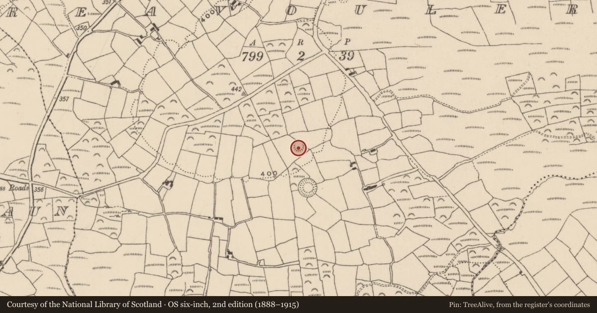 Ordnance Survey six-inch map, 2nd edition (1888–1915) covering the location of Ringfort - rath, Reavouler, County Cork, with a pin at the register's coordinates