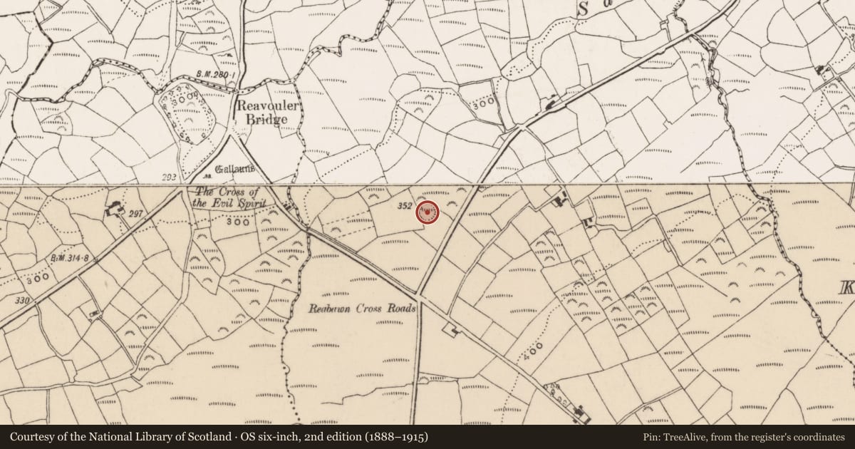 Ordnance Survey six-inch map, 2nd edition (1888–1915) covering the location of Ringfort - rath, Corran North, County Cork, with a pin at the register's coordinates