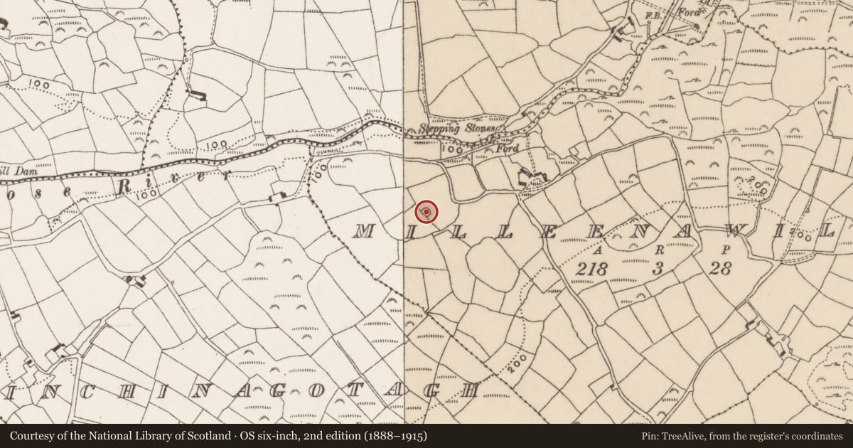 Ordnance Survey six-inch map, 2nd edition (1888–1915) covering the location of Ringfort - rath, Milleenawillin, County Cork, with a pin at the register's coordinates