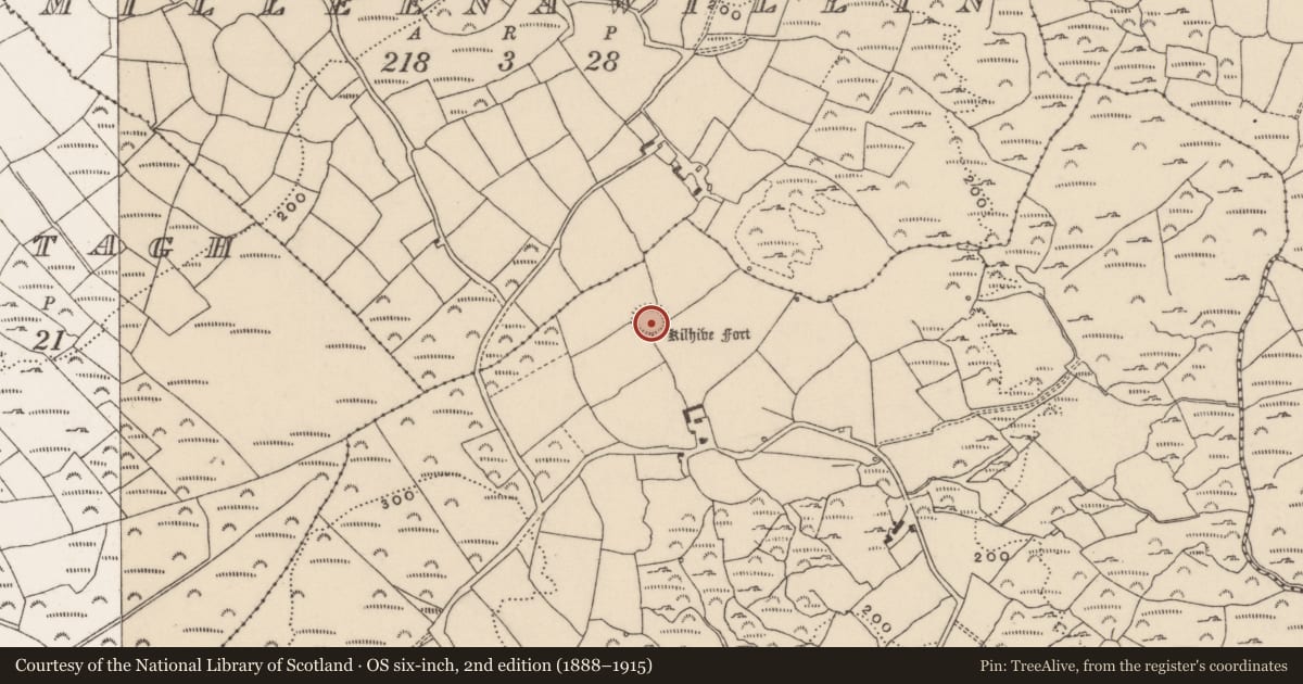 Ordnance Survey six-inch map, 2nd edition (1888–1915) covering the location of Ringfort - rath, Derrylugga, County Cork, with a pin at the register's coordinates