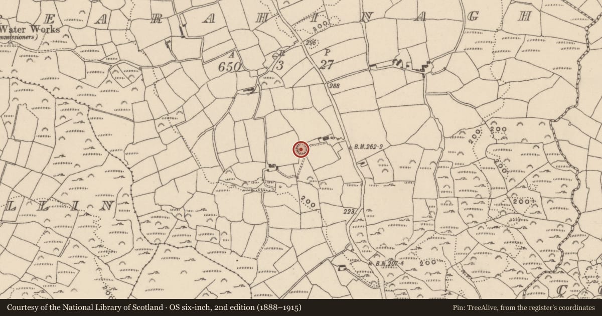 Ordnance Survey six-inch map, 2nd edition (1888–1915) covering the location of Ringfort - rath, Rearahinagh, County Cork, with a pin at the register's coordinates