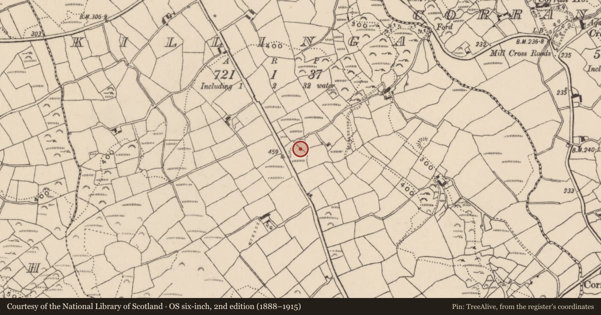 Ordnance Survey six-inch map, 2nd edition (1888–1915) covering the location of Fulacht fia, Killinga, County Cork, with a pin at the register's coordinates
