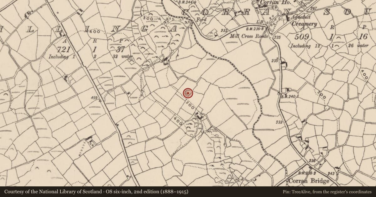 Ordnance Survey six-inch map, 2nd edition (1888–1915) covering the location of Ringfort - rath, Killinga, County Cork, with a pin at the register's coordinates