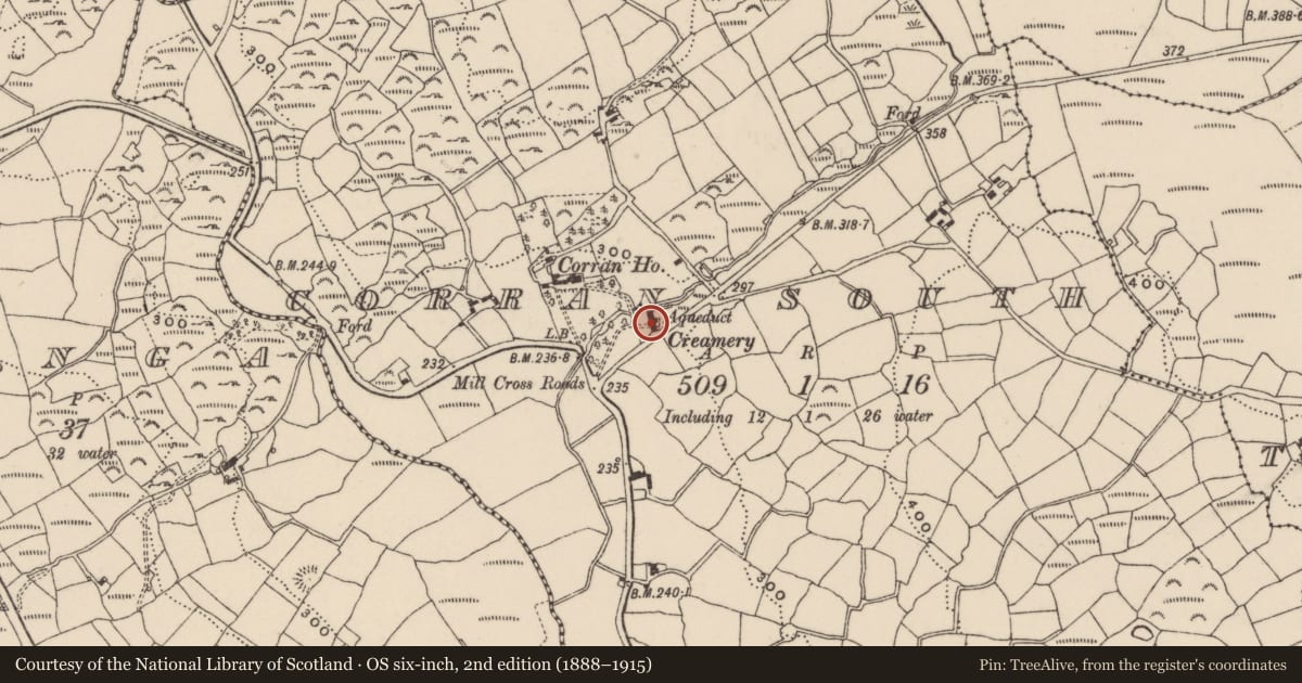 Ordnance Survey six-inch map, 2nd edition (1888–1915) covering the location of Mill - flax, Corran South, County Cork, with a pin at the register's coordinates