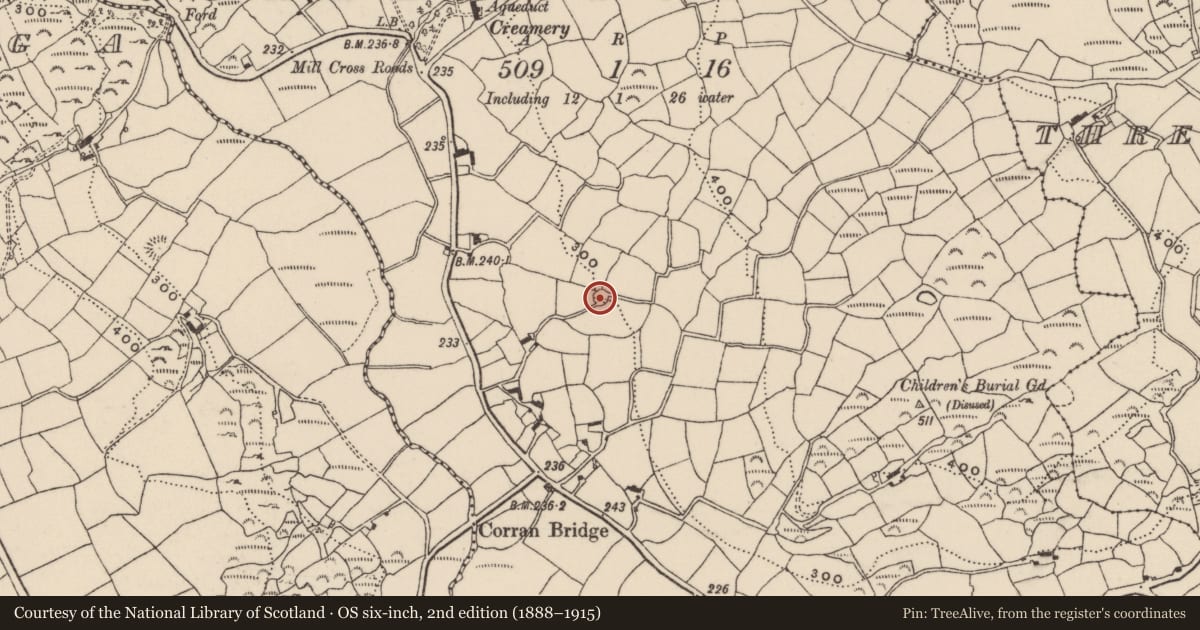 Ordnance Survey six-inch map, 2nd edition (1888–1915) covering the location of Enclosure, Corran South, County Cork, with a pin at the register's coordinates