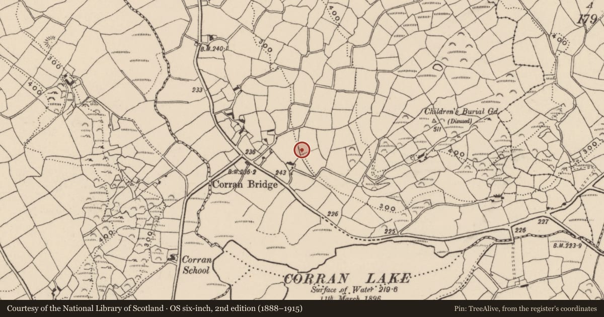Ordnance Survey six-inch map, 2nd edition (1888–1915) covering the location of Souterrain, Corran South, County Cork, with a pin at the register's coordinates