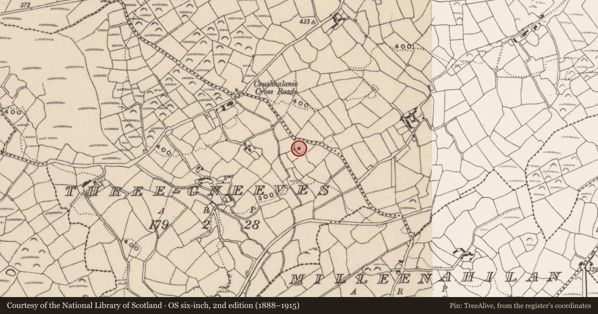 Ordnance Survey six-inch map, 2nd edition (1888–1915) covering the location of Ringfort - rath, Three-Gneeves, County Cork, with a pin at the register's coordinates