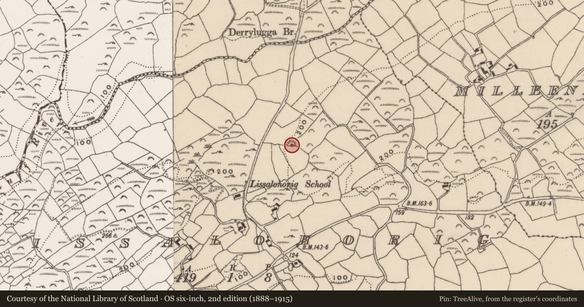 Ordnance Survey six-inch map, 2nd edition (1888–1915) covering the location of Ringfort - rath, Lissalohorig, County Cork, with a pin at the register's coordinates
