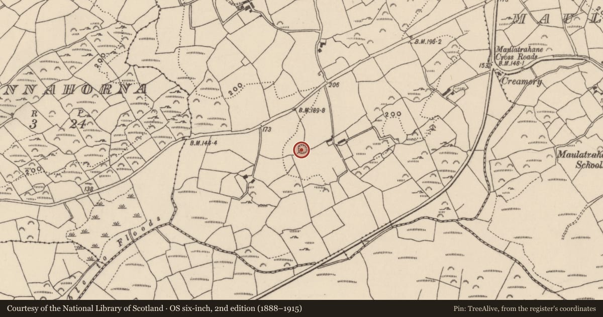 Ordnance Survey six-inch map, 2nd edition (1888–1915) covering the location of Ringfort - rath, Adrigool, County Cork, with a pin at the register's coordinates