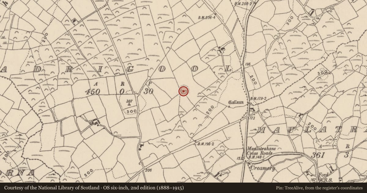 Ordnance Survey six-inch map, 2nd edition (1888–1915) covering the location of Ringfort - rath, Adrigool, County Cork, with a pin at the register's coordinates