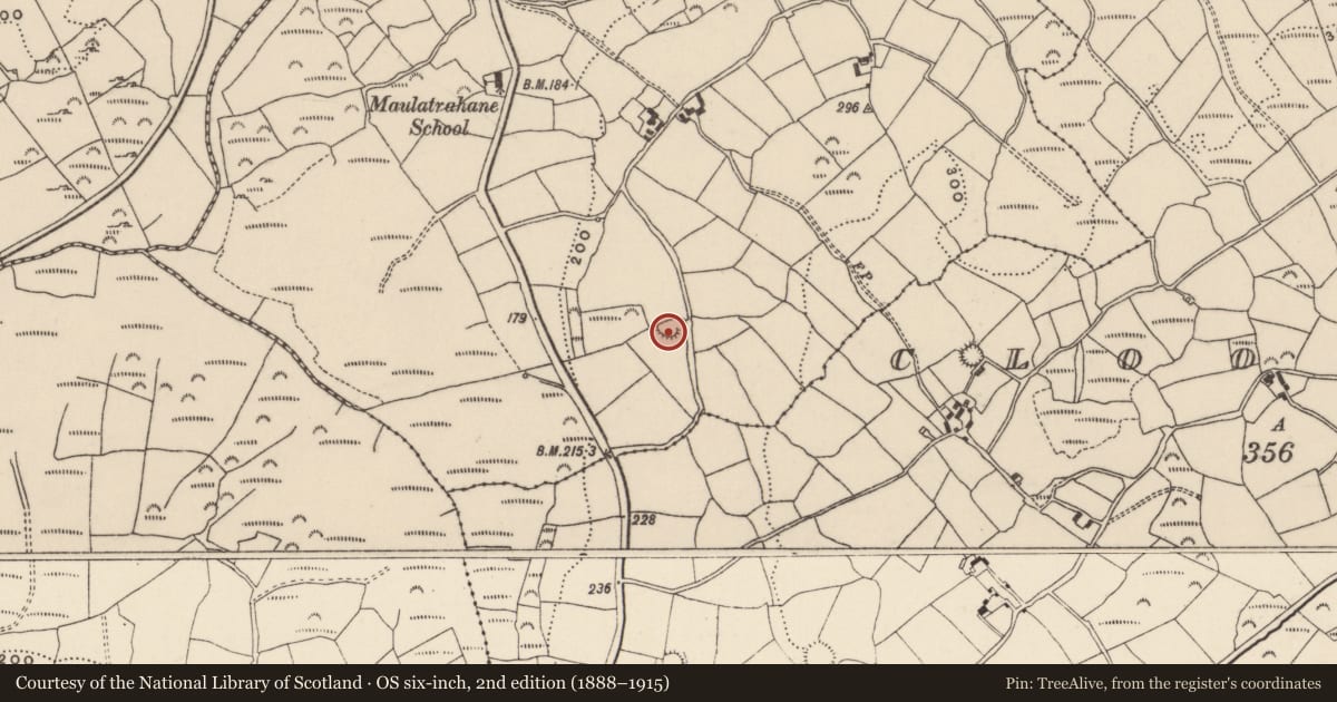Ordnance Survey six-inch map, 2nd edition (1888–1915) covering the location of Ringfort - rath, Maulatrahane, County Cork, with a pin at the register's coordinates