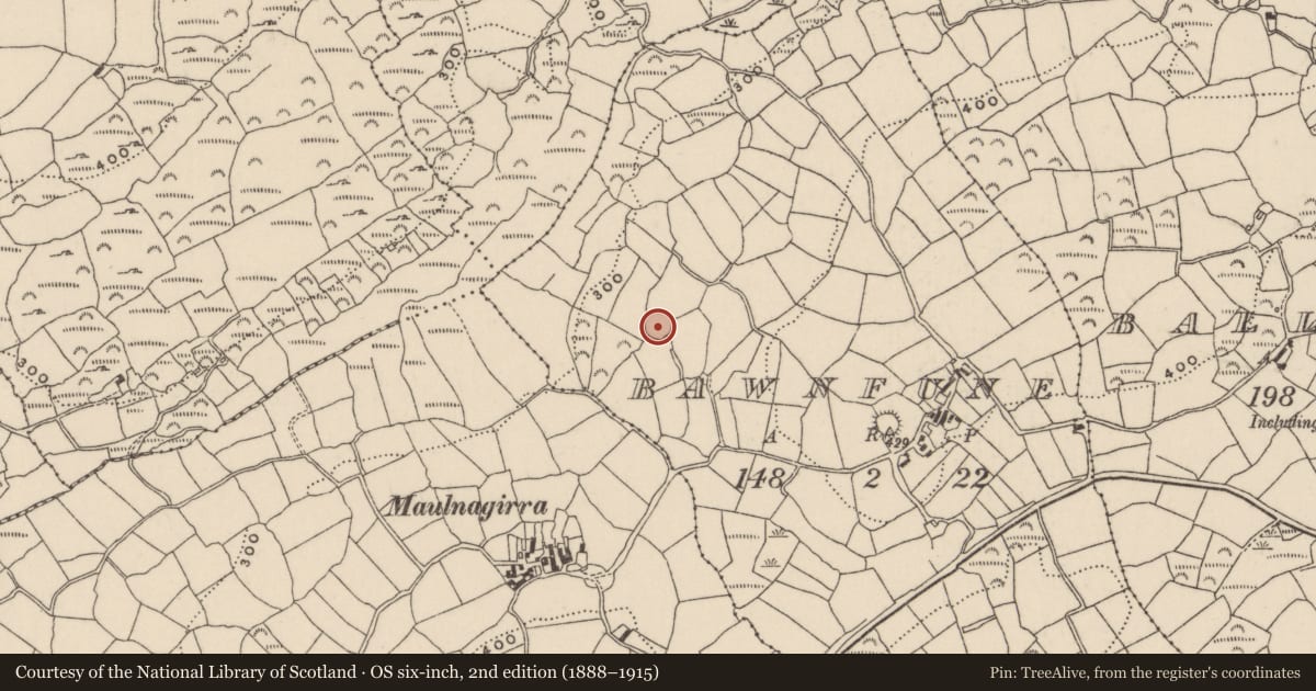 Ordnance Survey six-inch map, 2nd edition (1888–1915) covering the location of Ringfort - rath, Bawnfune, County Cork, with a pin at the register's coordinates