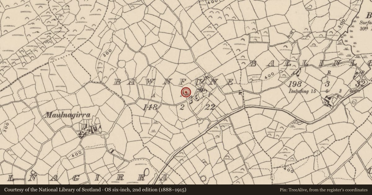 Ordnance Survey six-inch map, 2nd edition (1888–1915) covering the location of Ringfort - rath, Bawnfune, County Cork, with a pin at the register's coordinates