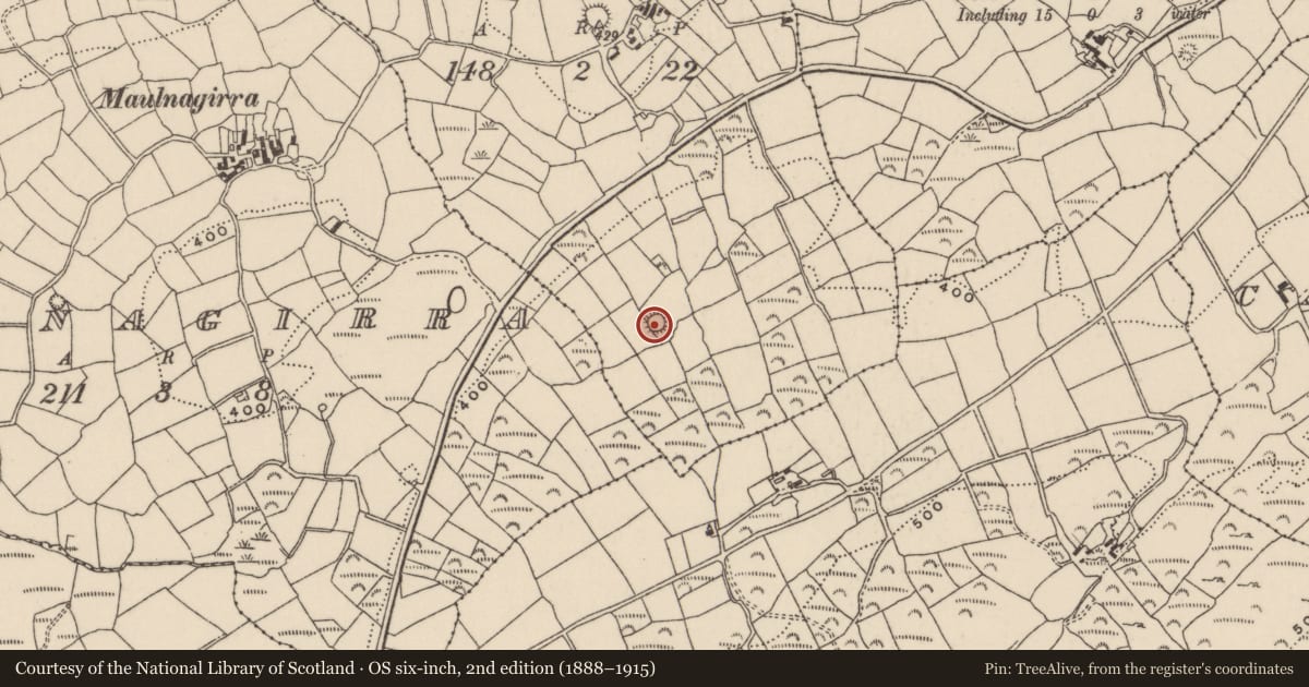 Ordnance Survey six-inch map, 2nd edition (1888–1915) covering the location of Ringfort - rath, Bawnfune, County Cork, with a pin at the register's coordinates