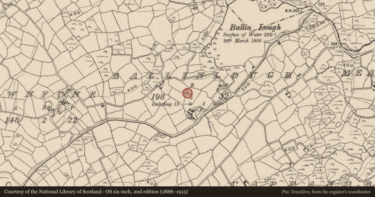 Ordnance Survey six-inch map, 2nd edition (1888–1915) covering the location of Ringfort - rath, Ballinlough, County Cork, with a pin at the register's coordinates