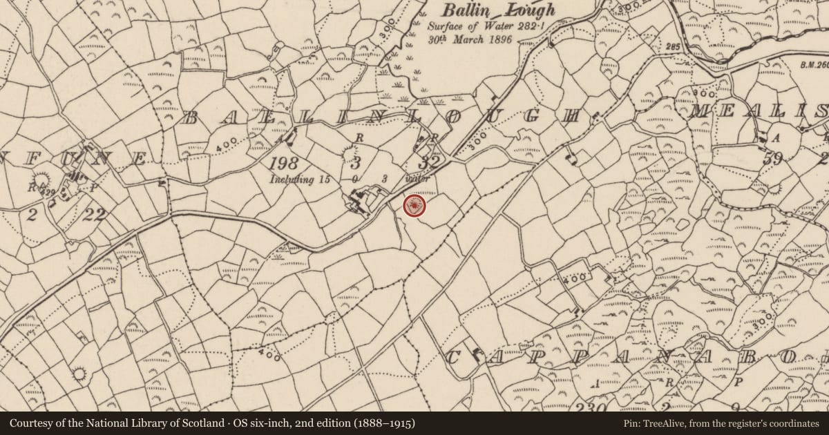 Ordnance Survey six-inch map, 2nd edition (1888–1915) covering the location of Barrow - mound barrow, Ballinlough, County Cork, with a pin at the register's coordinates
