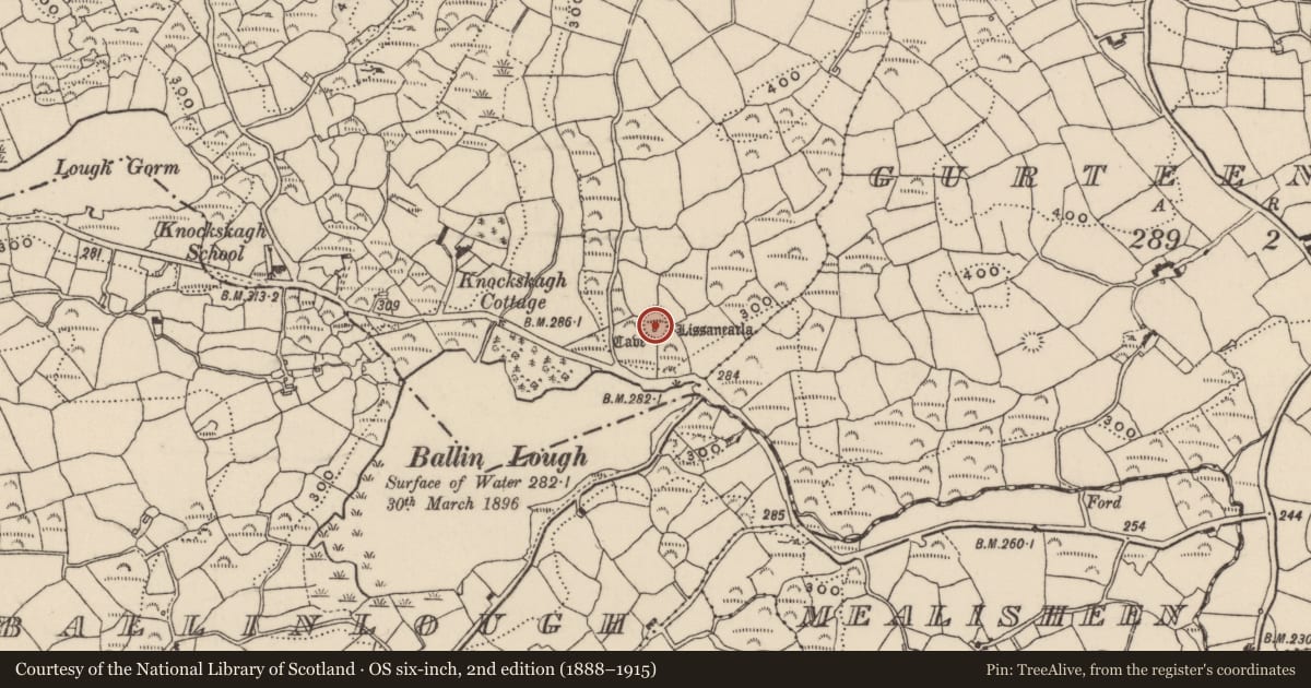 Ordnance Survey six-inch map, 2nd edition (1888–1915) covering the location of Ringfort - rath, Knockskagh, County Cork, with a pin at the register's coordinates