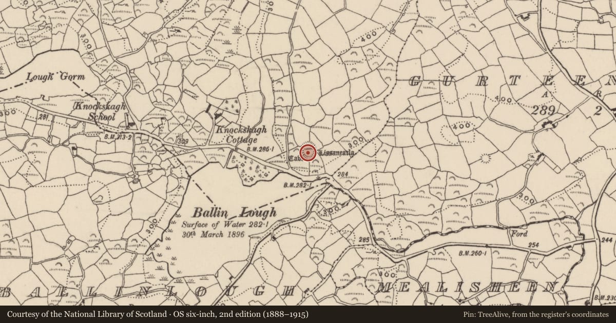 Ordnance Survey six-inch map, 2nd edition (1888–1915) covering the location of Souterrain, Knockskagh, County Cork, with a pin at the register's coordinates