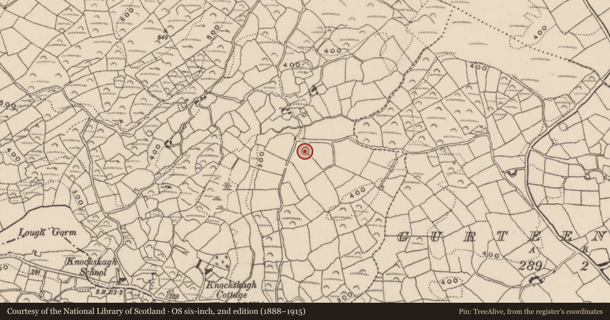 Ordnance Survey six-inch map, 2nd edition (1888–1915) covering the location of Ringfort - rath, Knockskagh, County Cork, with a pin at the register's coordinates