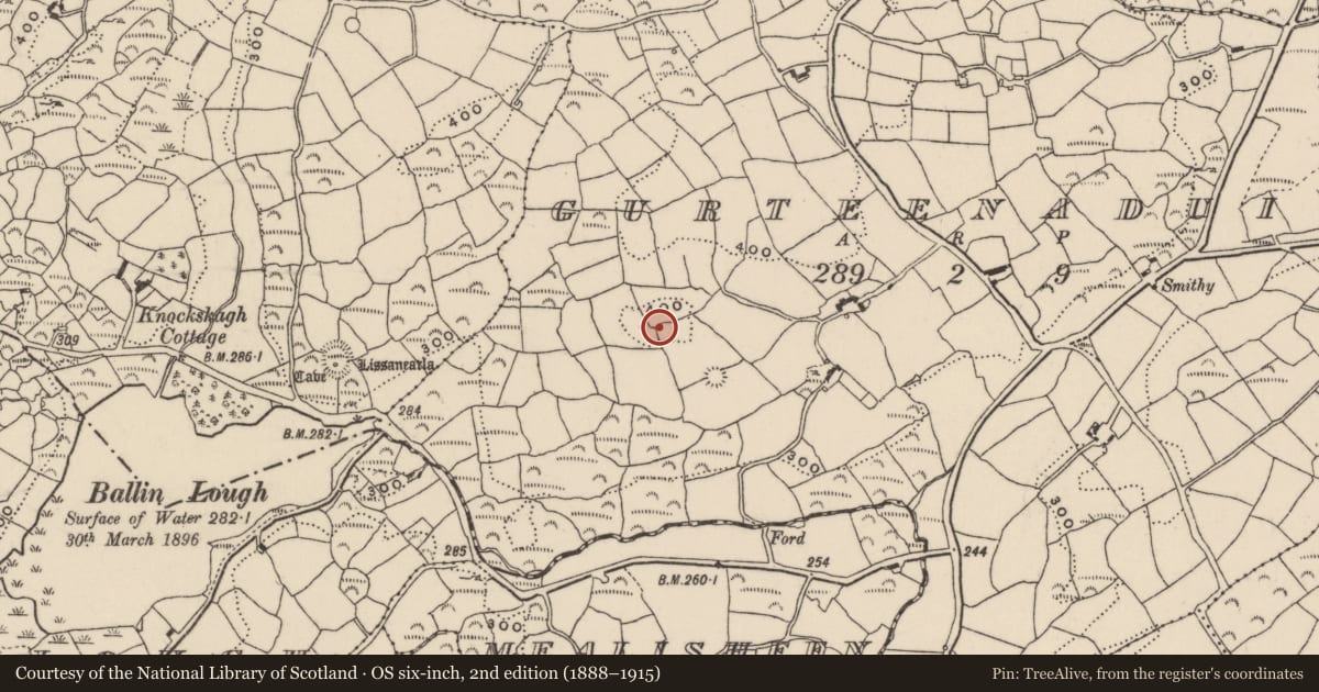 Ordnance Survey six-inch map, 2nd edition (1888–1915) covering the location of Standing stone - pair, Gurteenaduige, County Cork, with a pin at the register's coordinates