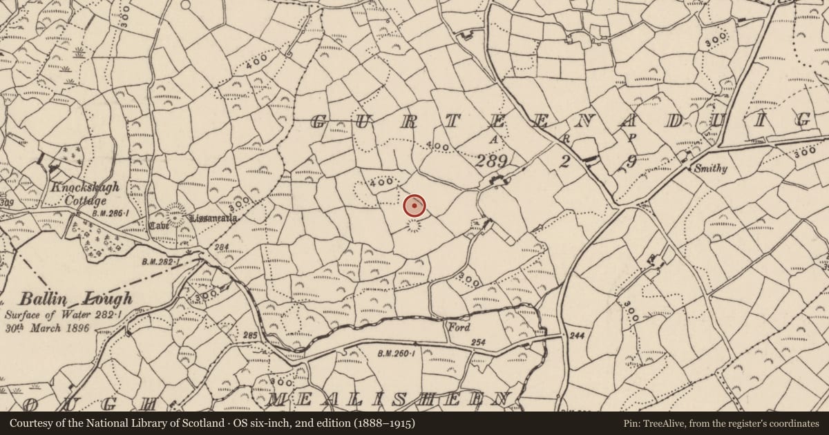 Ordnance Survey six-inch map, 2nd edition (1888–1915) covering the location of Standing stone, Gurteenaduige, County Cork, with a pin at the register's coordinates