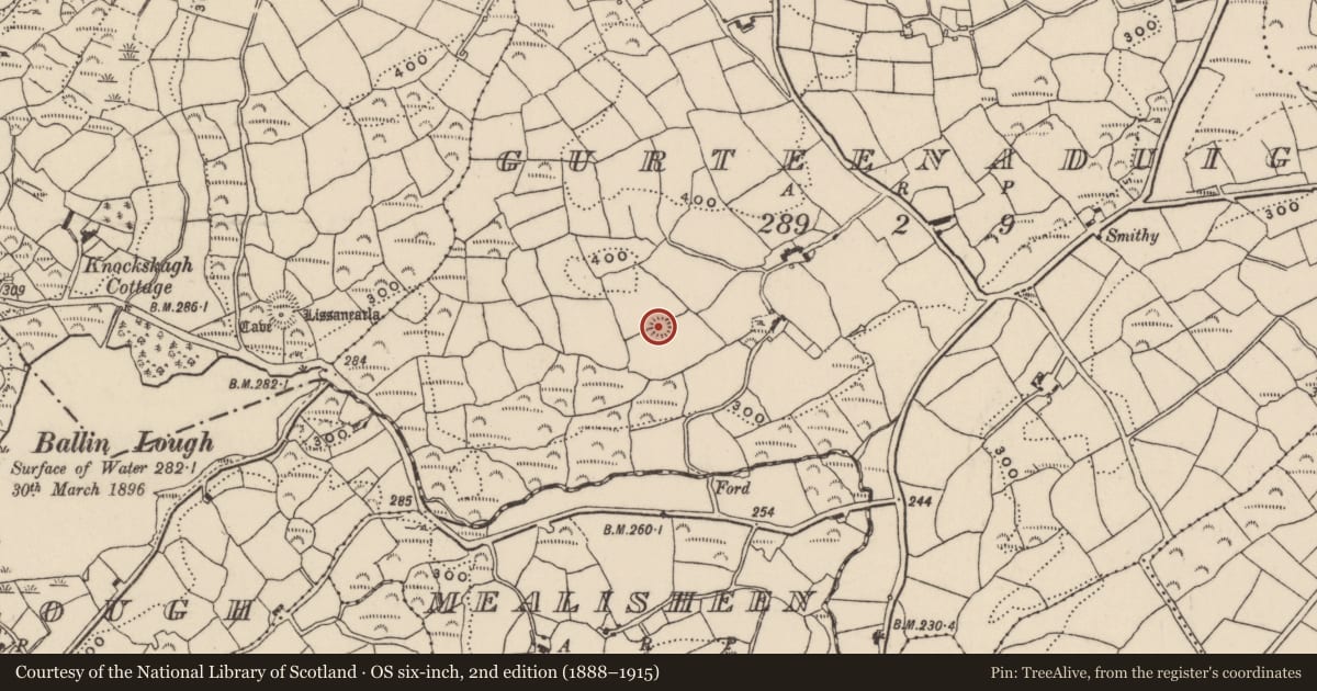 Ordnance Survey six-inch map, 2nd edition (1888–1915) covering the location of Ringfort - rath, Gurteenaduige, County Cork, with a pin at the register's coordinates