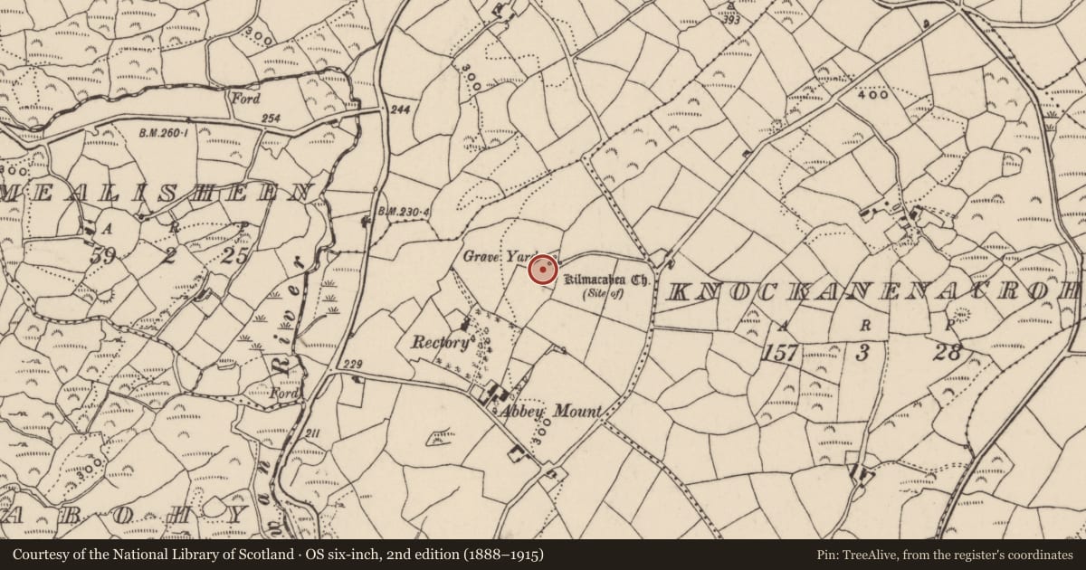 Ordnance Survey six-inch map, 2nd edition (1888–1915) covering the location of Watchman's hut - burial ground, Kilmacabea, County Cork, with a pin at the register's coordinates