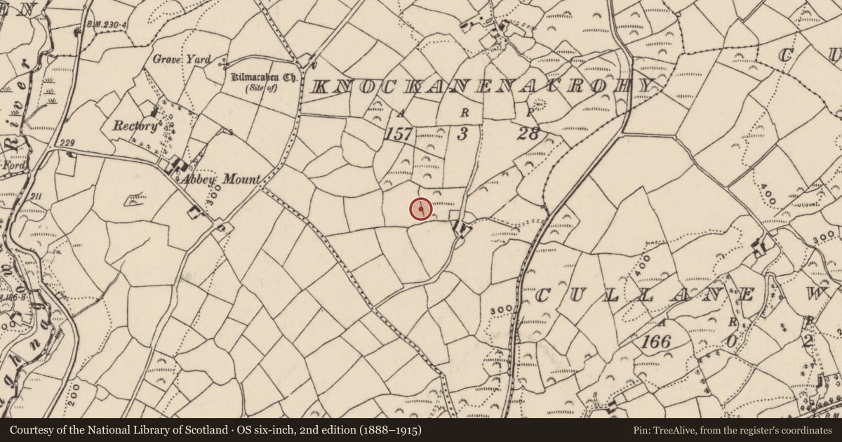 Ordnance Survey six-inch map, 2nd edition (1888–1915) covering the location of Cupmarked stone (present location), Knockanenacrohy, County Cork, with a pin at the register's coordinates