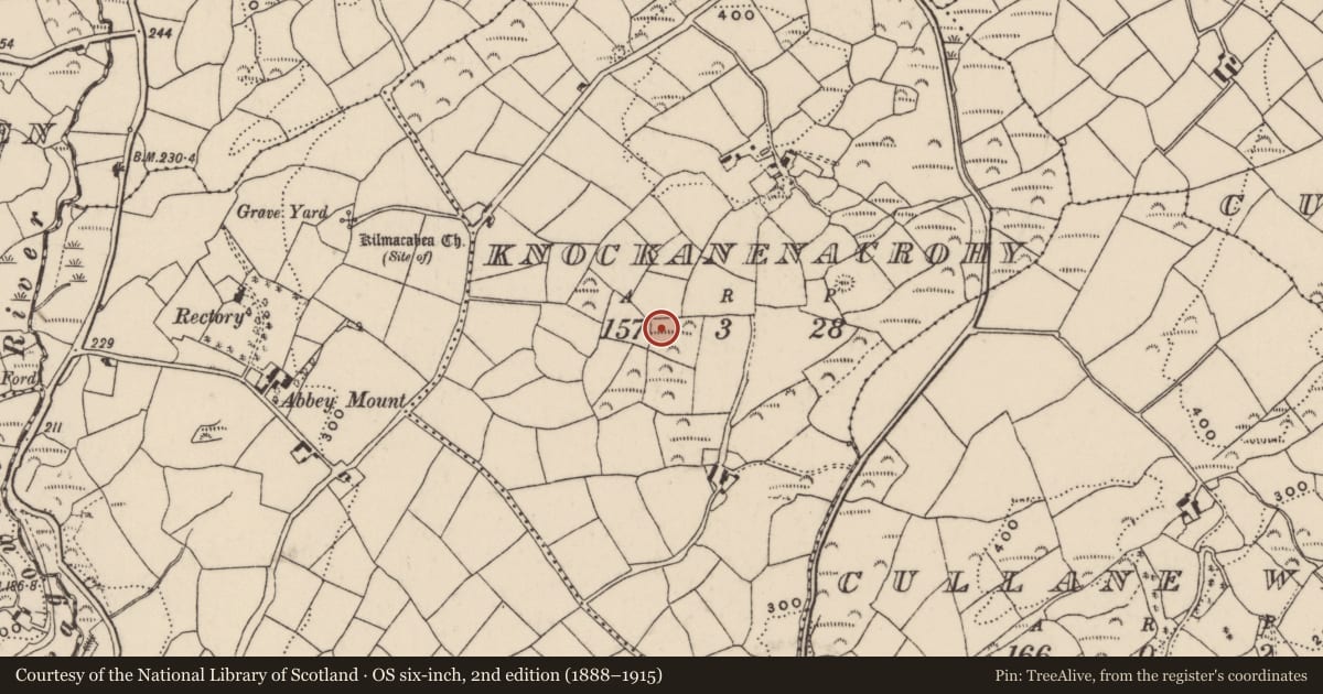 Ordnance Survey six-inch map, 2nd edition (1888–1915) covering the location of Fulacht fia, Knockanenacrohy, County Cork, with a pin at the register's coordinates