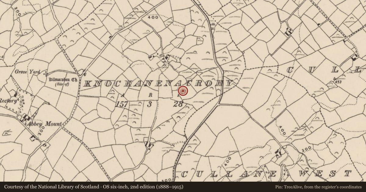 Ordnance Survey six-inch map, 2nd edition (1888–1915) covering the location of Ringfort - rath, Knockanenacrohy, County Cork, with a pin at the register's coordinates