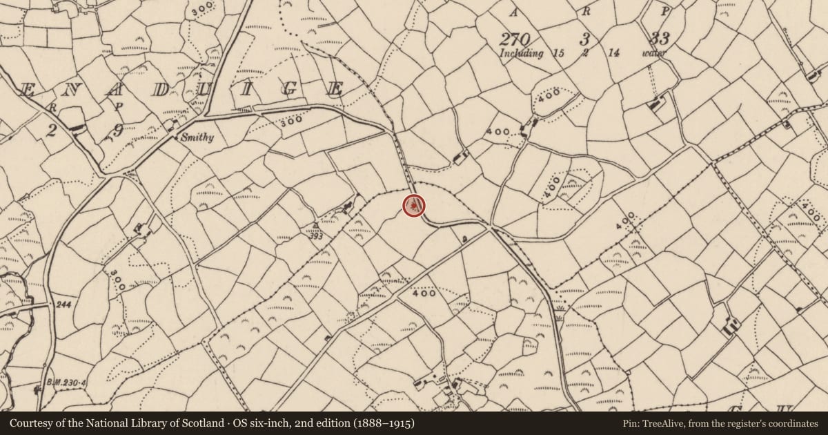 Ordnance Survey six-inch map, 2nd edition (1888–1915) covering the location of Quarry, Knockanenacrohy, County Cork, with a pin at the register's coordinates