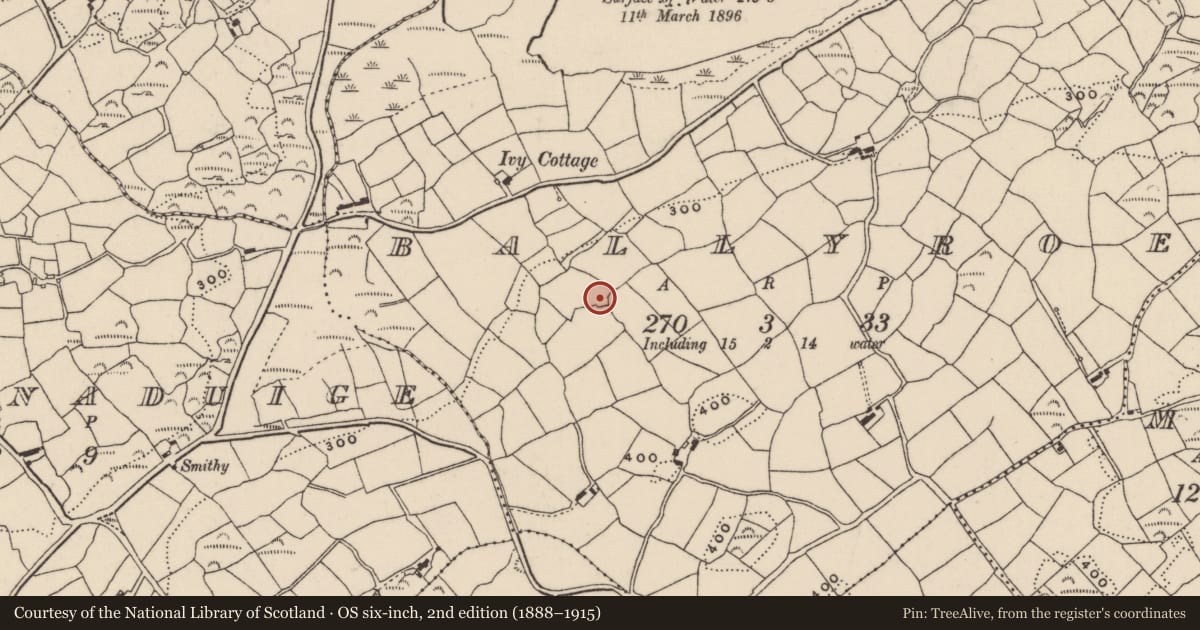 Ordnance Survey six-inch map, 2nd edition (1888–1915) covering the location of Ringfort - rath, Ballyroe, County Cork, with a pin at the register's coordinates