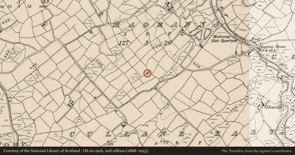 Ordnance Survey six-inch map, 2nd edition (1888–1915) covering the location of Ringfort - rath, Madranna, County Cork, with a pin at the register's coordinates