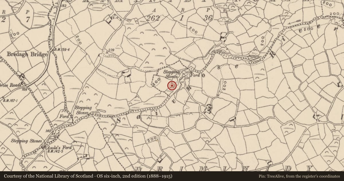 Ordnance Survey six-inch map, 2nd edition (1888–1915) covering the location of Mill - corn, Driminidy South, County Cork, with a pin at the register's coordinates