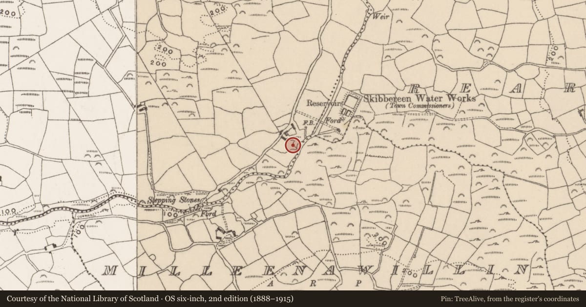 Ordnance Survey six-inch map, 2nd edition (1888–1915) covering the location of Mill - fulling, Tooreen, County Cork, with a pin at the register's coordinates
