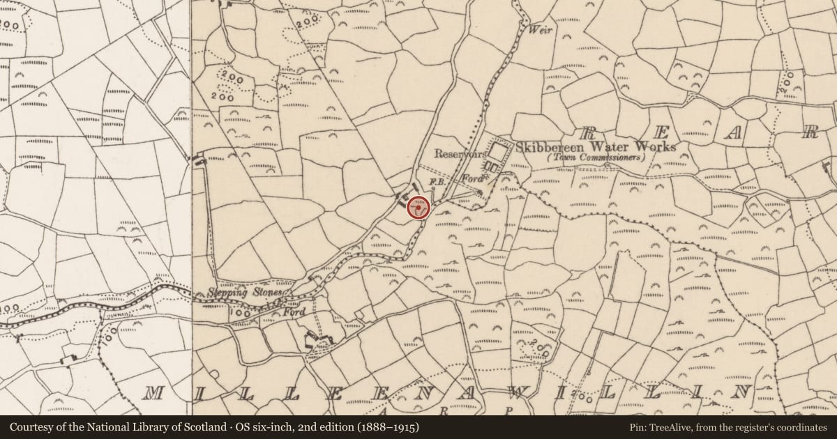 Ordnance Survey six-inch map, 2nd edition (1888–1915) covering the location of Mill - corn, Tooreen, County Cork, with a pin at the register's coordinates