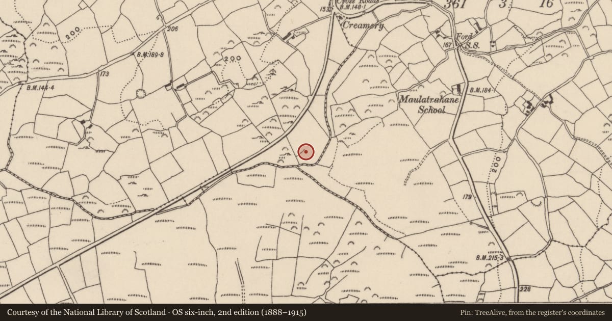 Ordnance Survey six-inch map, 2nd edition (1888–1915) covering the location of Country house, Adrigool, County Cork, with a pin at the register's coordinates