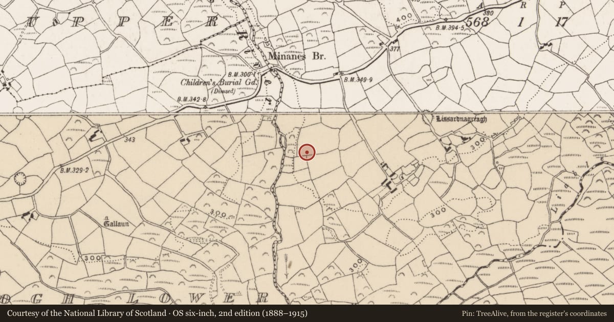 Ordnance Survey six-inch map, 2nd edition (1888–1915) covering the location of Enclosure, Minanes, County Cork, with a pin at the register's coordinates