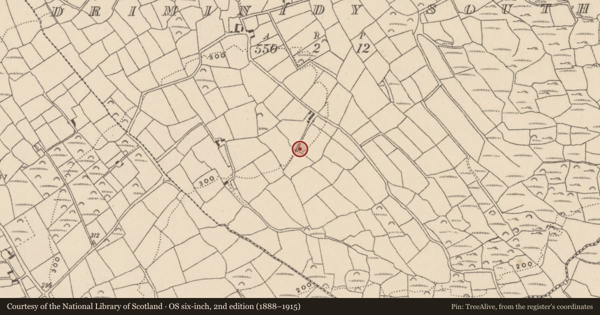 Ordnance Survey six-inch map, 2nd edition (1888–1915) covering the location of Souterrain, Driminidy South, County Cork, with a pin at the register's coordinates