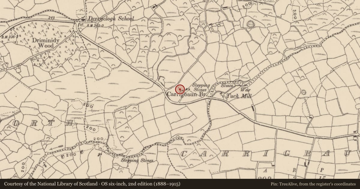 Ordnance Survey six-inch map, 2nd edition (1888–1915) covering the location of Souterrain, Derryclogh Lower, County Cork, with a pin at the register's coordinates