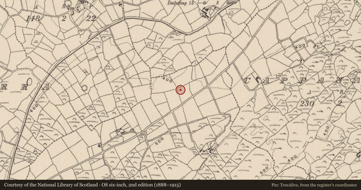 Ordnance Survey six-inch map, 2nd edition (1888–1915) covering the location of Boulder-burial, Keamore, County Cork, with a pin at the register's coordinates