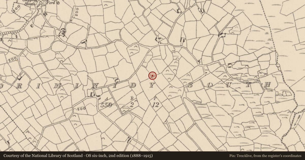 Ordnance Survey six-inch map, 2nd edition (1888–1915) covering the location of Standing stone, Driminidy South, County Cork, with a pin at the register's coordinates