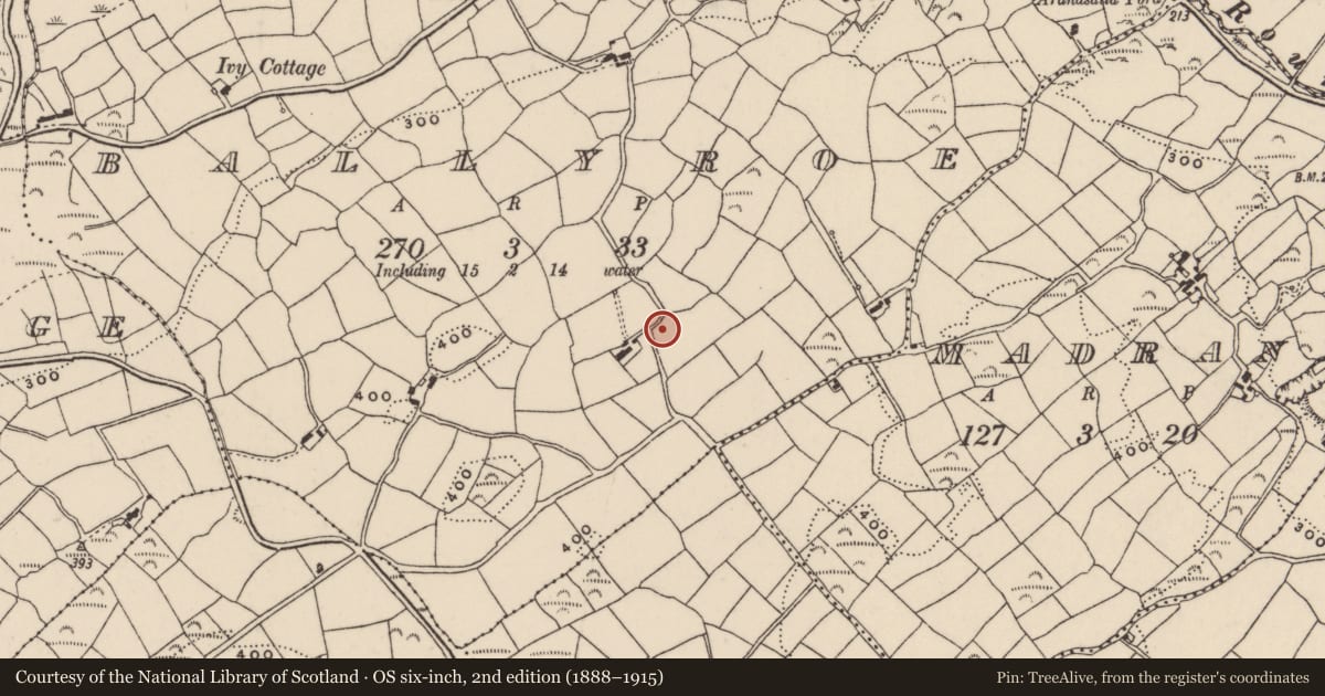 Ordnance Survey six-inch map, 2nd edition (1888–1915) covering the location of Boulder-burial, Ballyroe, County Cork, with a pin at the register's coordinates