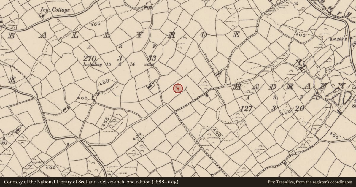 Ordnance Survey six-inch map, 2nd edition (1888–1915) covering the location of Boulder-burial, Ballyroe, County Cork, with a pin at the register's coordinates
