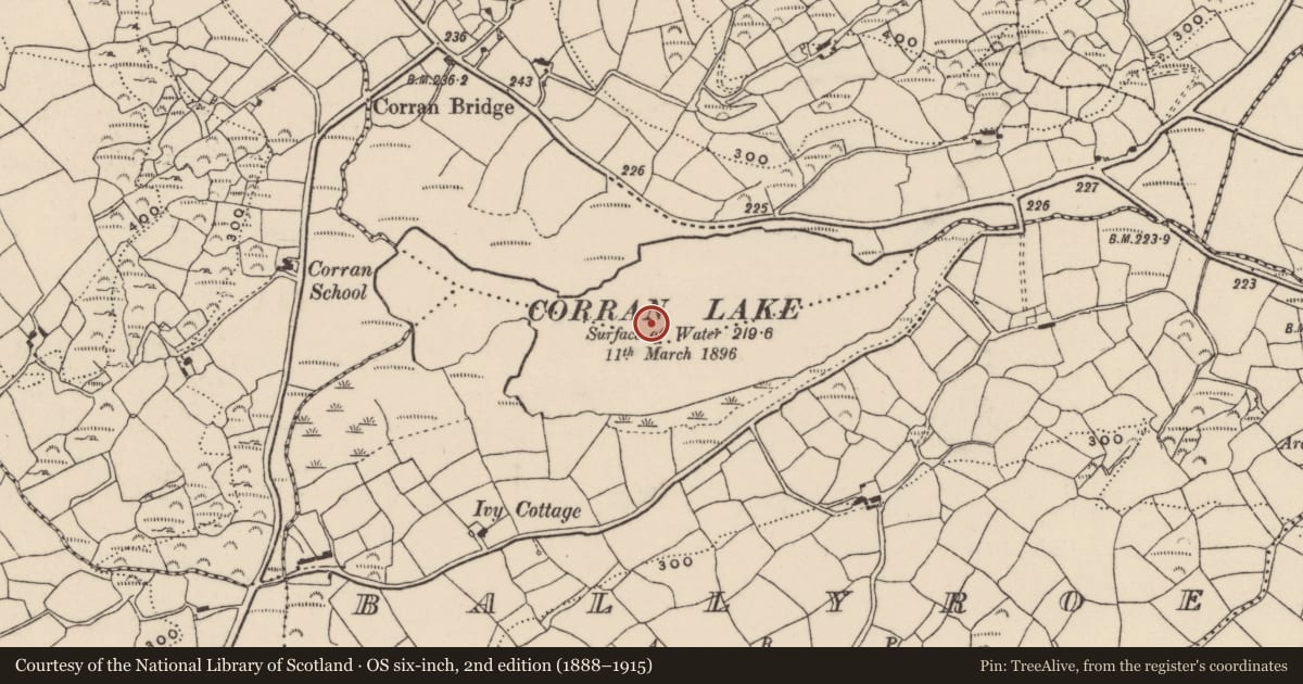 Ordnance Survey six-inch map, 2nd edition (1888–1915) covering the location of Crannog, Corran South, County Cork, with a pin at the register's coordinates